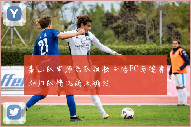 泰山队军师离队执教今治FC马德鲁加归队情况尚未确定
