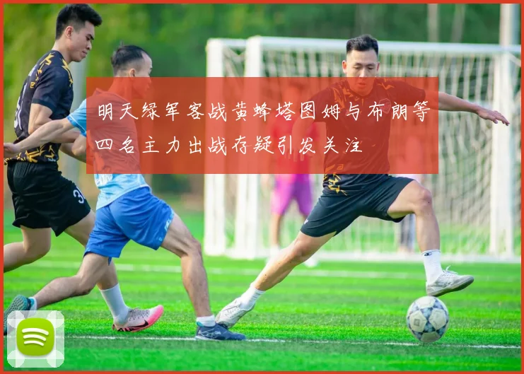 明天绿军客战黄蜂塔图姆与布朗等四名主力出战存疑引发关注